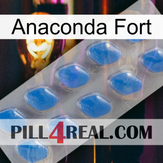 Anaconda Strong 22